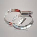 Worm Drive Clamp